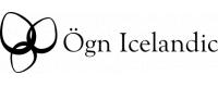 Ögn Icelandic